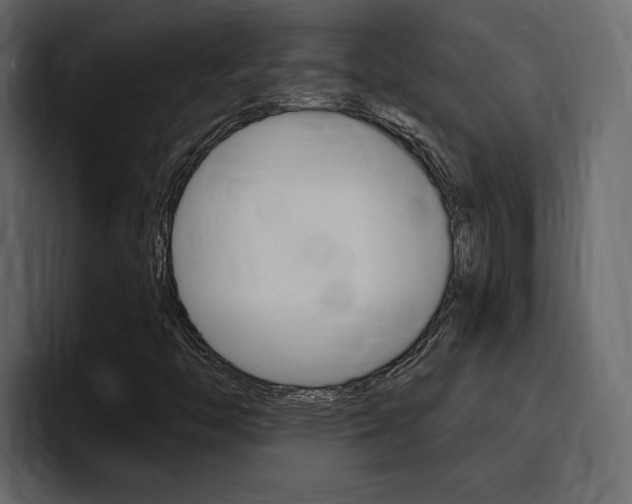 X0000095551446200712140926