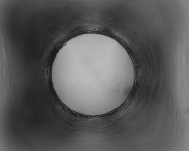 X0000095551447200712140926