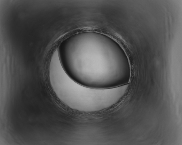 X0000095551448200712140926