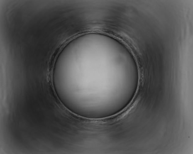 X0000095551449200712140926