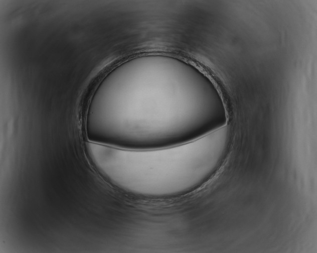 X0000095551450200712140926