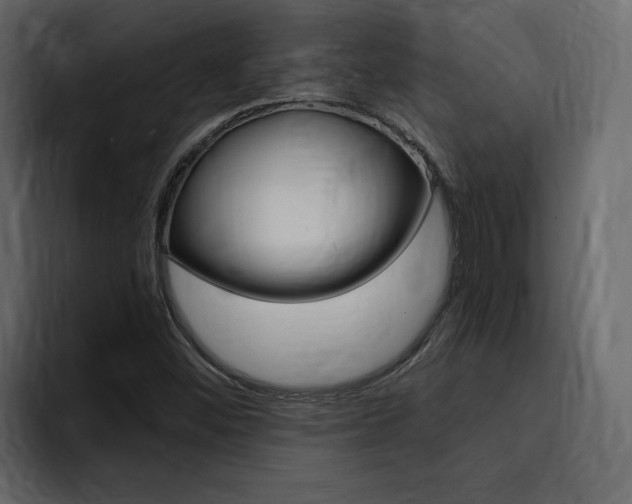 X0000095551452200712140926
