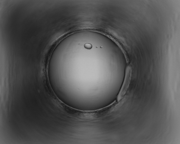 X0000095551453200712140926
