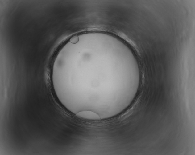 X0000095551454200712140926