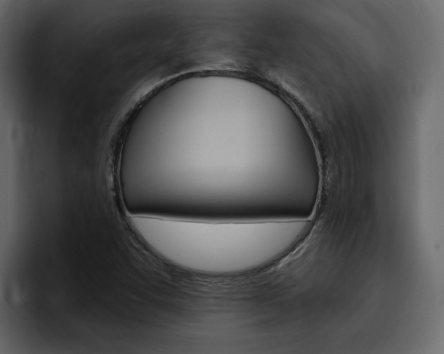 X0000095551455200712140926