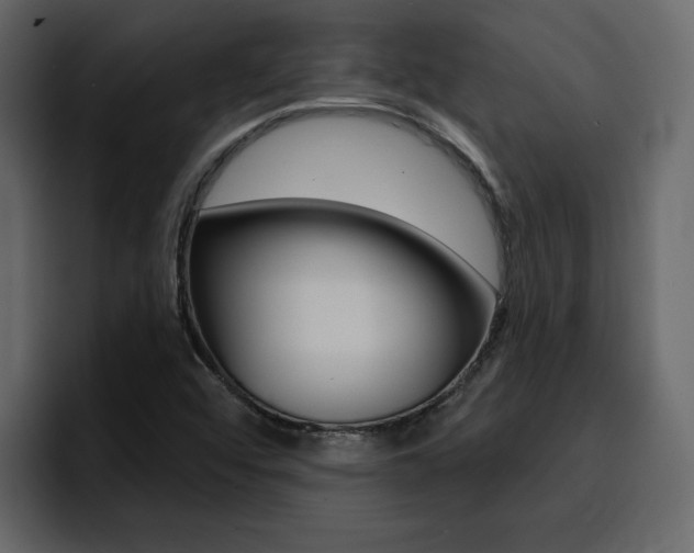 X0000095551456200712140926