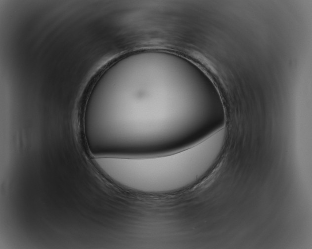 X0000095551458200712140926
