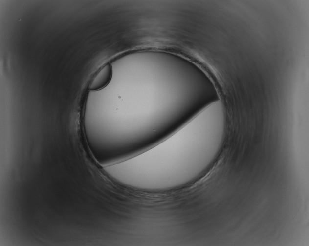 X0000095551459200712140926