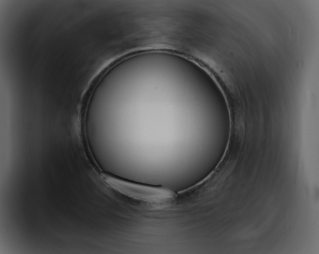 X0000095551460200712140926