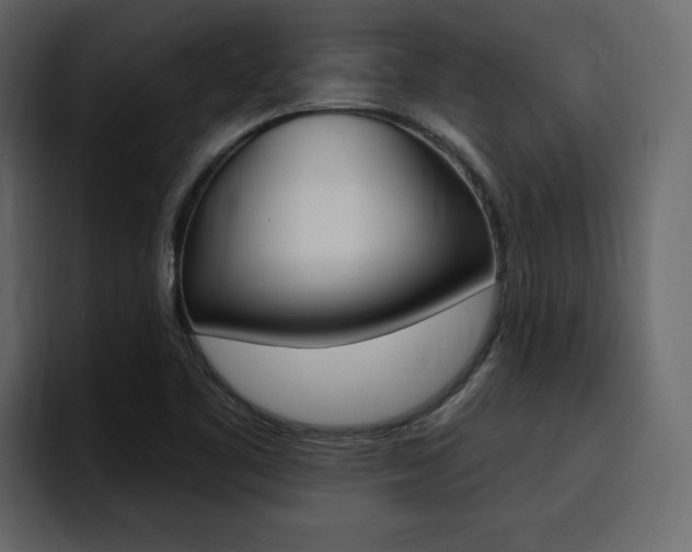 X0000095551461200712140926