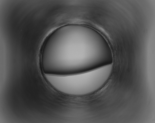 X0000095551463200712140926