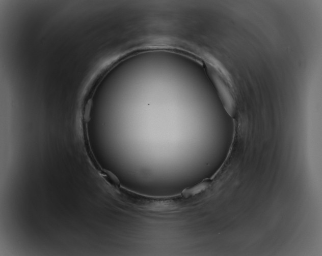X0000095551464200712140926