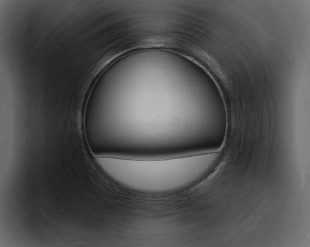 X0000095551465200712140925