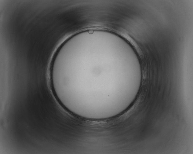 X0000095551466200712140925