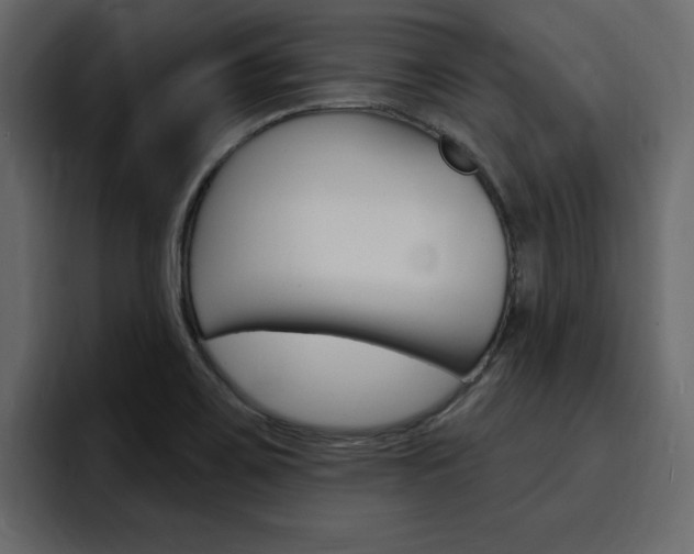 X0000095551467200712140925