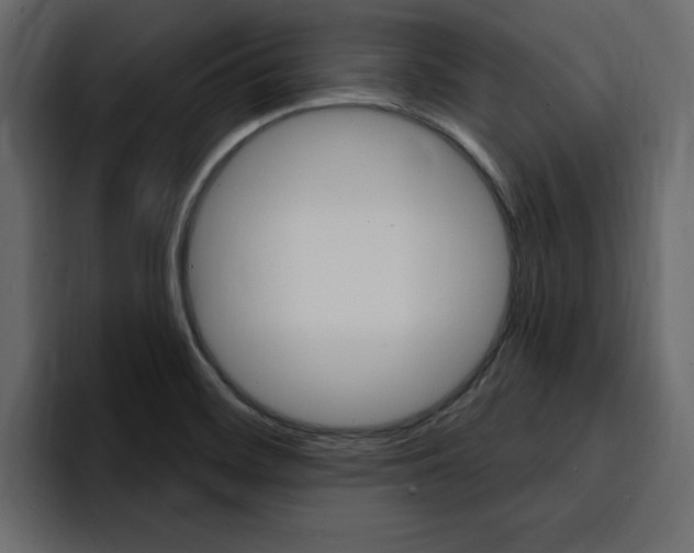 X0000095551468200712140925
