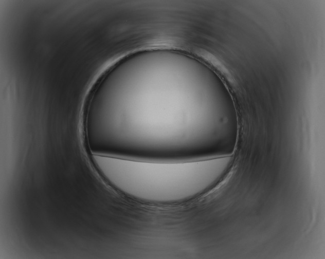 X0000095551469200712140925