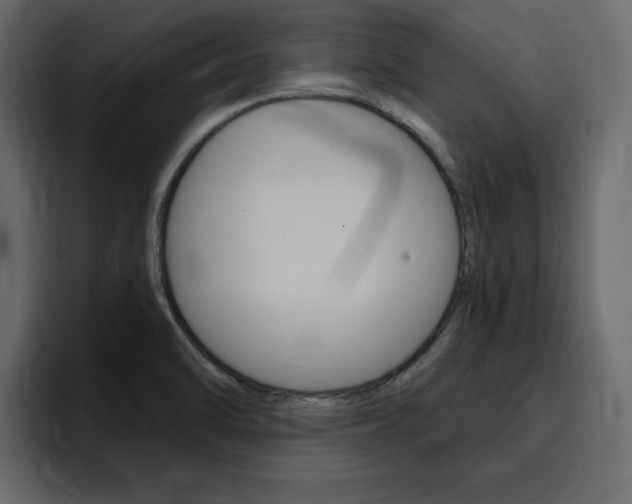 X0000095551470200712140925