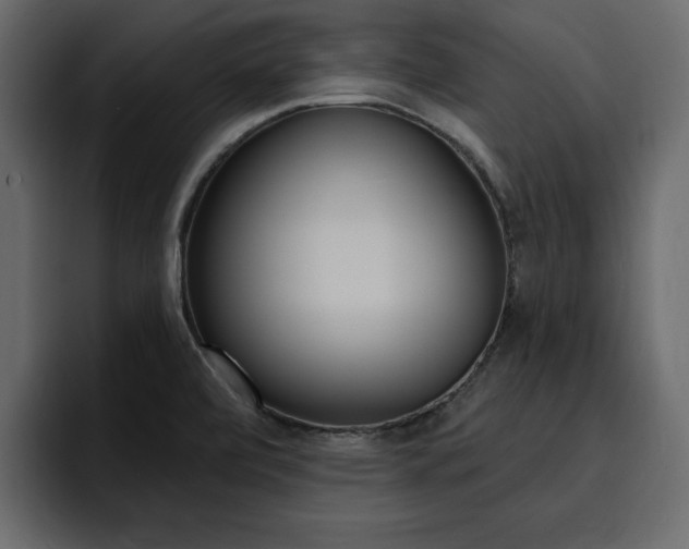 X0000095551472200712140925