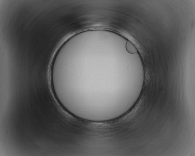 X0000095551474200712140925