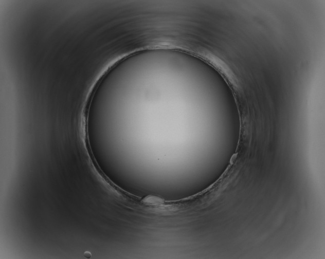 X0000095551476200712140925