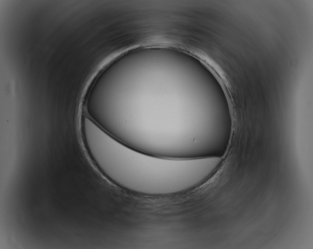 X0000095551477200712140925