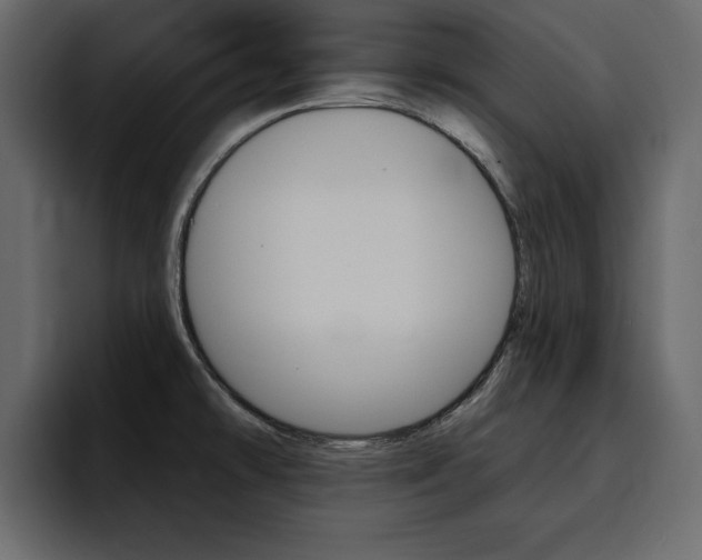 X0000095551478200712140925