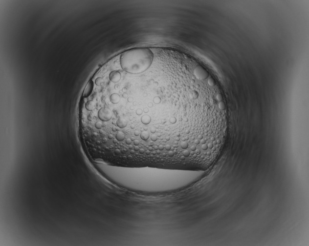 X0000095551479200712140925