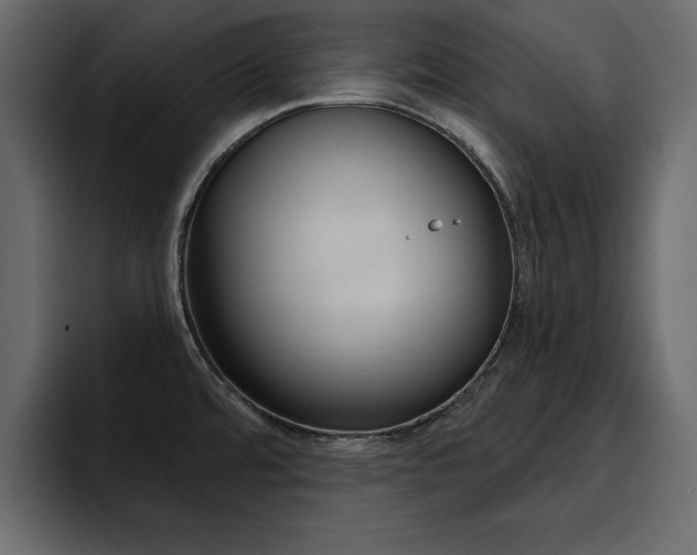 X0000095551480200712140925