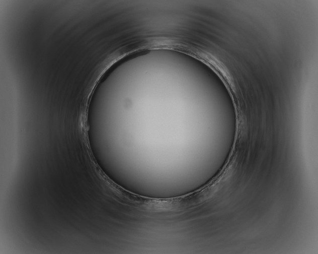 X0000095551481200712140925