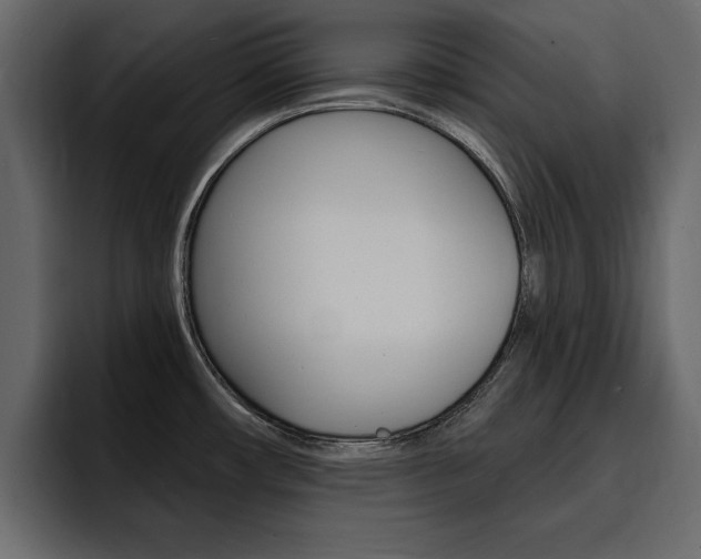 X0000095551482200712140925