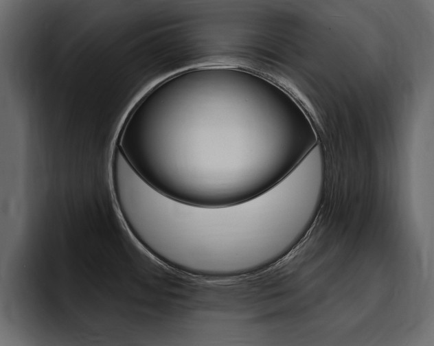 X0000095551484200712140925