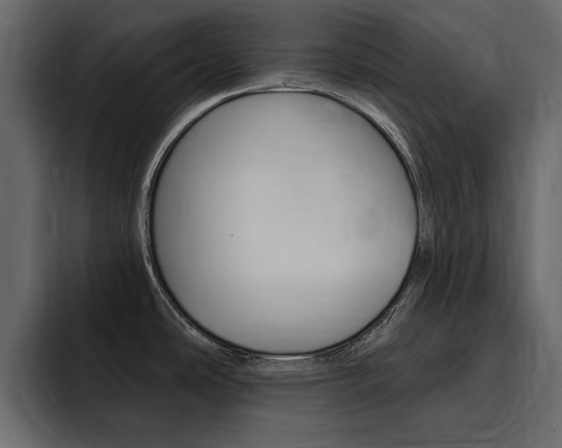 X0000095551486200712140925