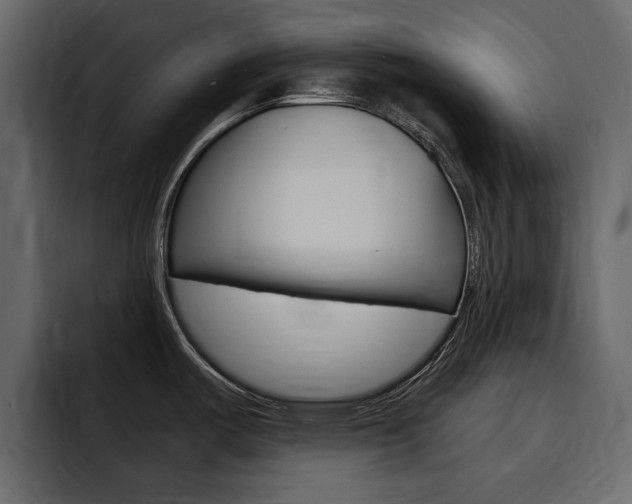 X0000095551487200712140925