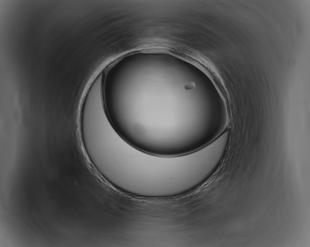 X0000095551488200712140925