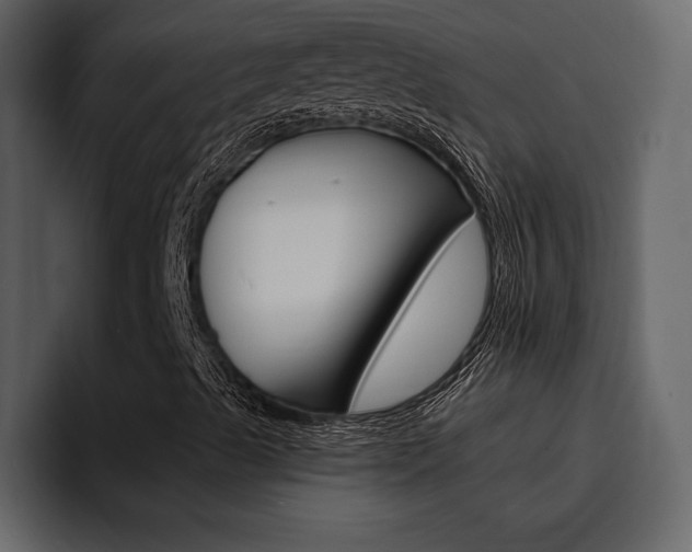 X0000095551489200712140925