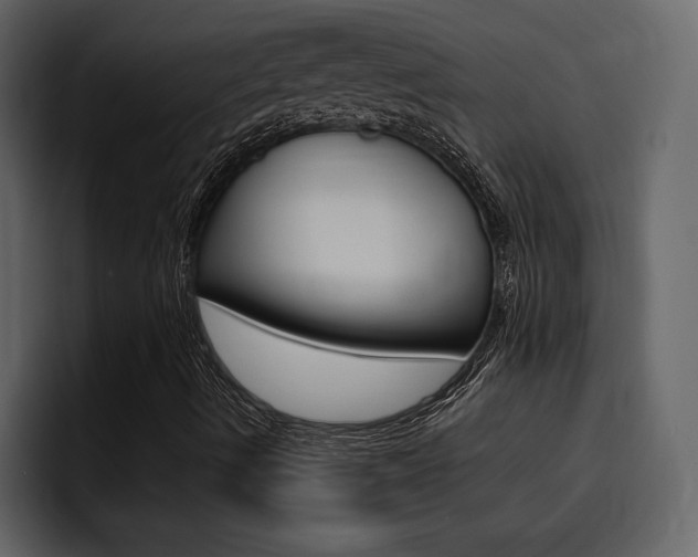 X0000095551490200712140925