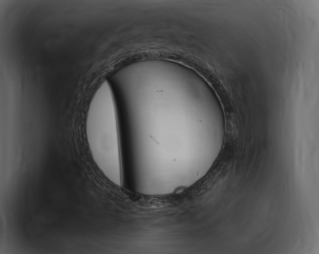 X0000095551493200712140925