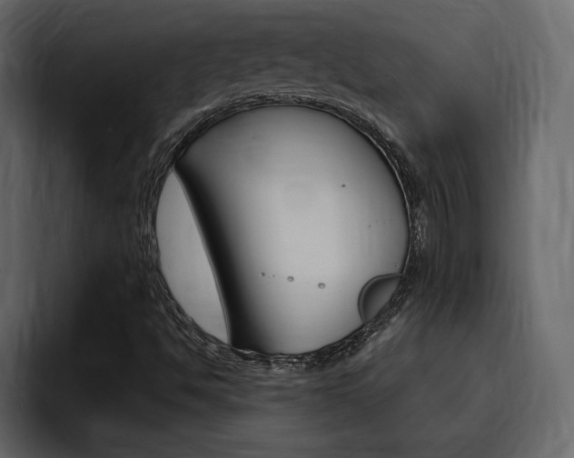 X0000095551494200712140925