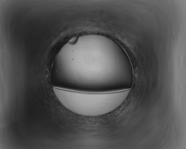 X0000095551495200712140925
