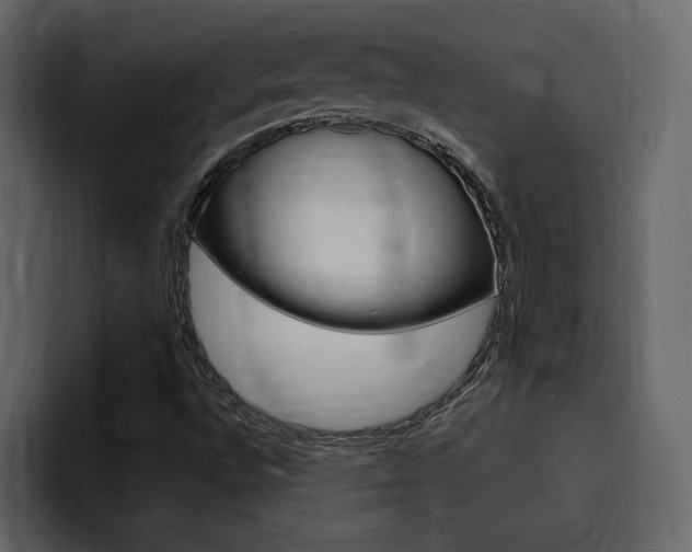 X0000095551496200712140925