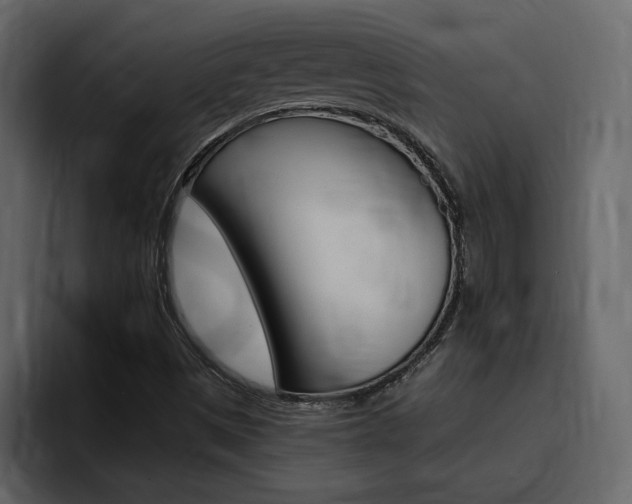 X0000095551497200712140925