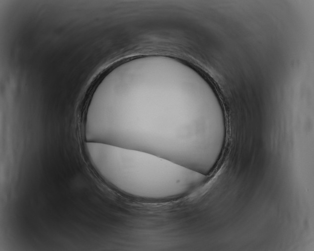 X0000095551498200712140925