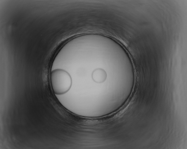 X0000095551499200712140925