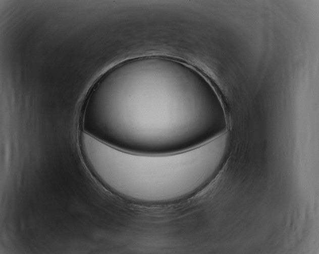 X0000095551500200712140925