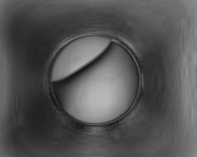 X0000095551501200712140925
