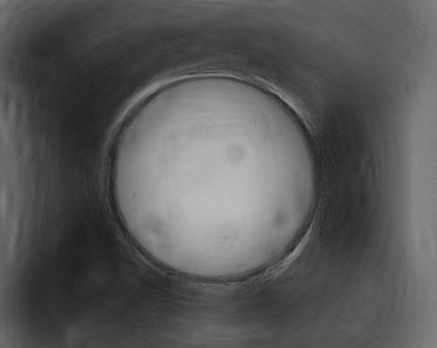 X0000095551502200712140925