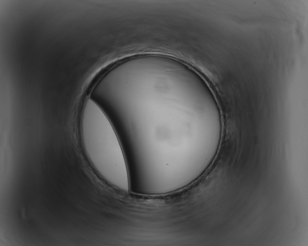 X0000095551503200712140925