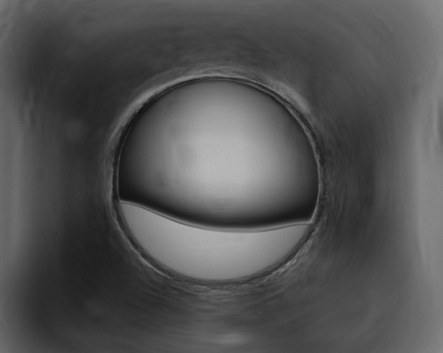 X0000095551504200712140925