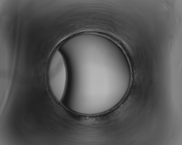 X0000095551505200712140925